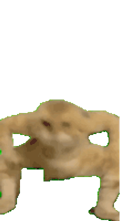 Cat Dance Sticker GIF