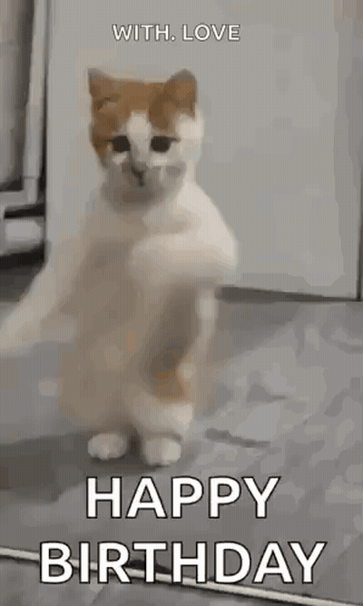 Cat Dancing Happy Birthday GIF