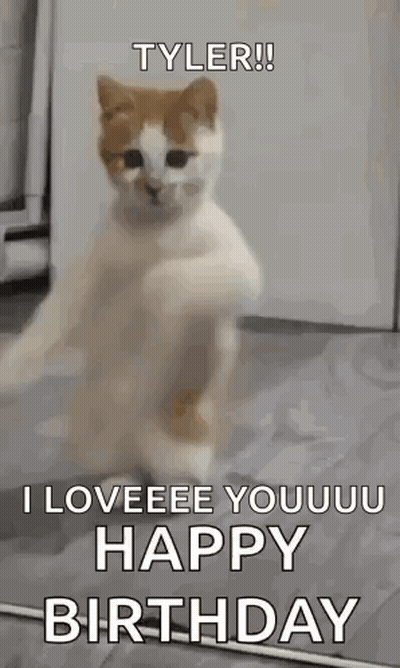 Cat Dancing I Loveeeee Youuu Happy Birthday GIF