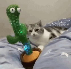 Cat Dancing Sway Wave Vibing Succulent Plant GIF