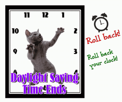 Cat Daylight Saving Time Ends GIF