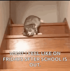 Cat Descending Stairs Lazily Friday GIF
