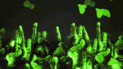 Cat DJ Put Your Hands Up GIF