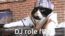 Cat Dj Role Flex GIF
