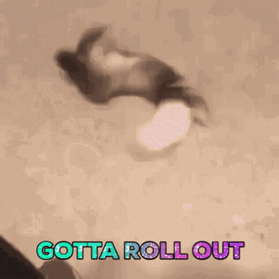 Cat Doing Handstand With Gotta Roll Out GIF