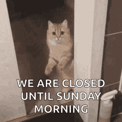 Cat Doorway We Are Closed Until Sunday Morning GIF