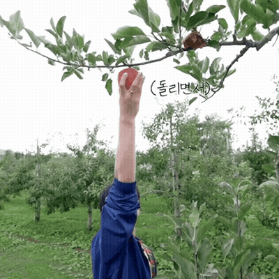 Cat Dressed As Apple Saying Have A Nice Day GIF
