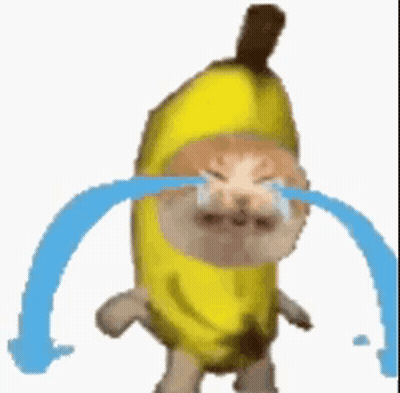 Cat Dressed As Banana Crying With Tears GIF