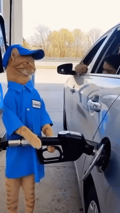 Cat Dressed As Gas Station Worker Pumping Gas GIF