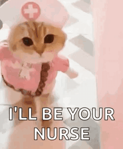 Cat Dressed As Nurse Ill Be Your Nurse GIF