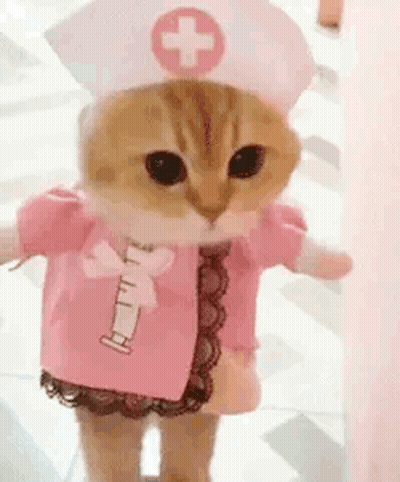 Cat Dressed As Nurse With Syringe GIF