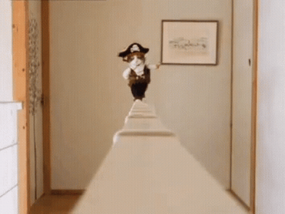 Cat Dressed As Pirate Standing On Railing In Hallway GIF