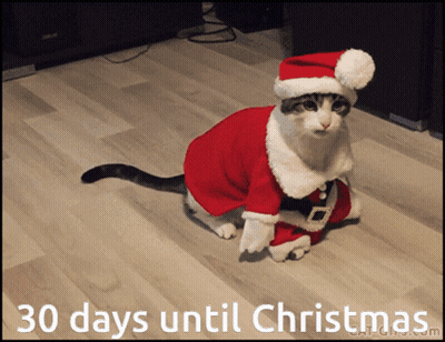 Cat Dressed as Santa Saying 30 Days Until Christmas