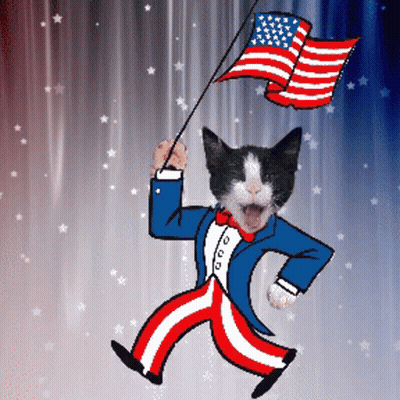 Cat Dressed As Uncle Sam Holding American Flag GIF