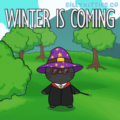 Cat Dressed As Wizard Saying Winter Is Coming GIF