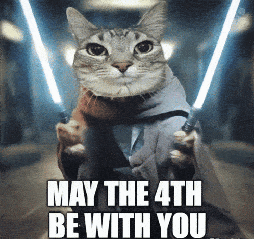 Cat Dressed As Yoda Holding Lightsabers GIF