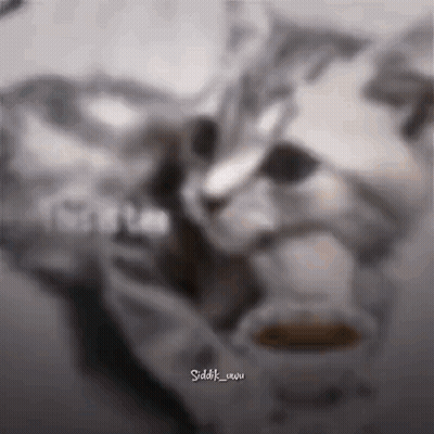 Cat Drinking From Cup GIF