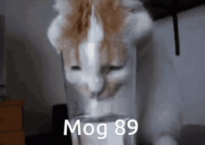 Cat Drinking From Glass With Number 89 GIF