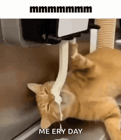 Cat Drinking Milk Dispenser Saying Me Ery Day GIF