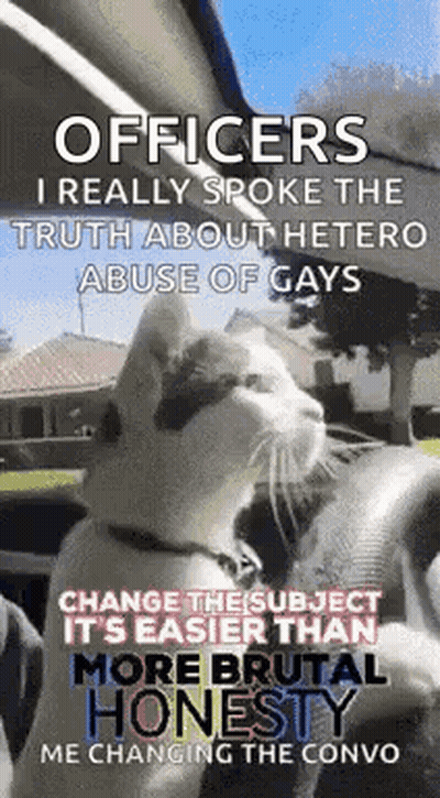 Cat Driving Car Officers I Spoke Truth GIF