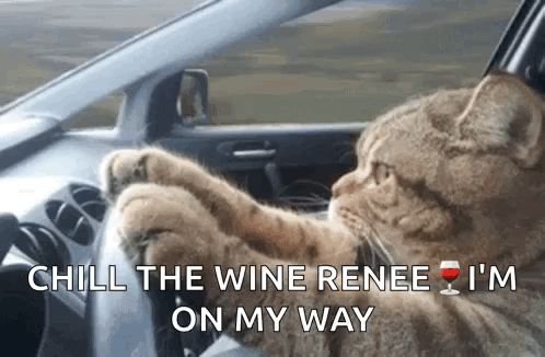 Cat Driving Car Saying Chill The Wine