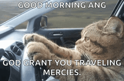 Cat Driving Car Saying Good Morning Ang God Grant You Traveling Mercies GIF