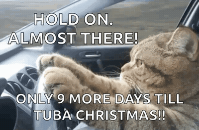Cat Driving Car Saying Hold On Almost There GIF