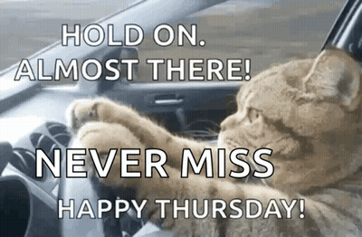 Cat Driving Car Saying Hold On Almost There Happy Thursday GIF