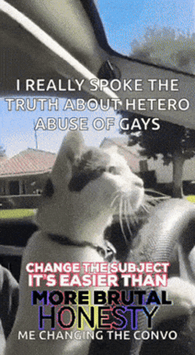 Cat Driving Car Saying I Really Spoke The Truth About Hetero GIF