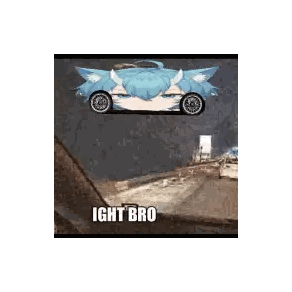 Cat Driving Car Saying Light Bro Sticker