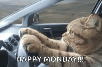 Cat Driving Car Says Happy Monday GIF