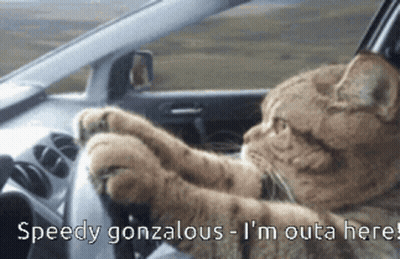 Cat Driving Car Speedy Gonzales Outta Here GIF