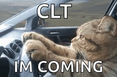 Cat Driving Car With Clt Im Coming GIF