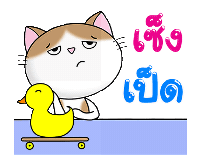 Cat Duckie เซ็ง เปิด GIF