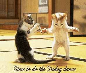 Cat Duo Time To Do Friday Dance GIF