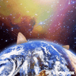 Cat Earth GIF