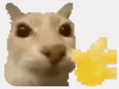 Cat Eating Cheese Close Up GIF