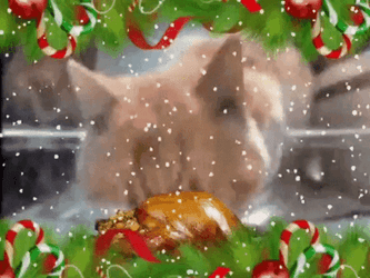 Cat Eating Chicken Christmas Meme GIF