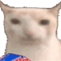 Cat Eating Chips Sticker GIF