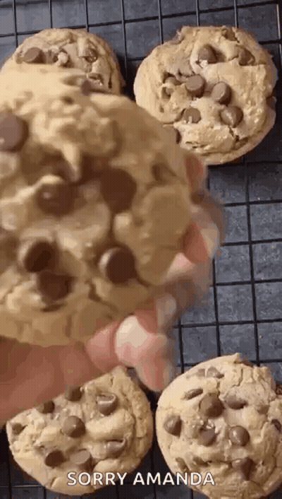 Cat Eating Chocolate Bar GIF