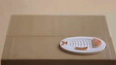 Cat Eating Fish Skeleton On Plate GIF