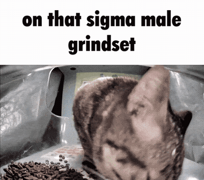 Cat Eating Food On That Sigma Male Grindset GIF