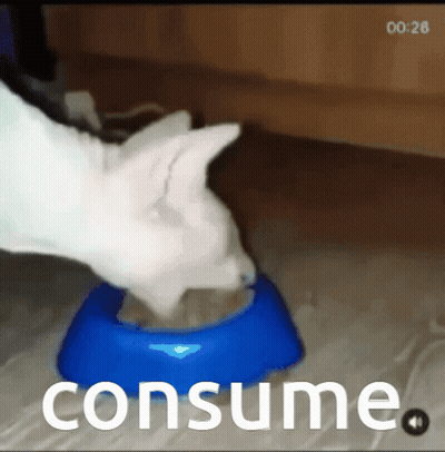 Cat Eating From Blue Bowl Saying Consume GIF