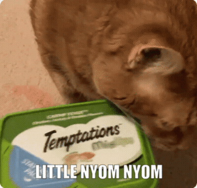 Cat Eating From Green Temptations Container GIF
