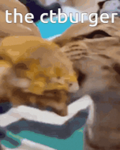 Cat Eating Hamburger Saying The Ctburger GIF