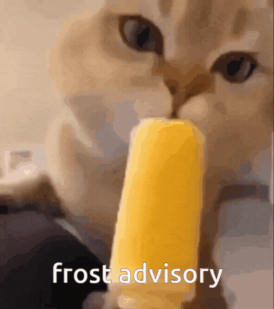 Cat Eating Ice Cream Bar Frost Advisory GIF