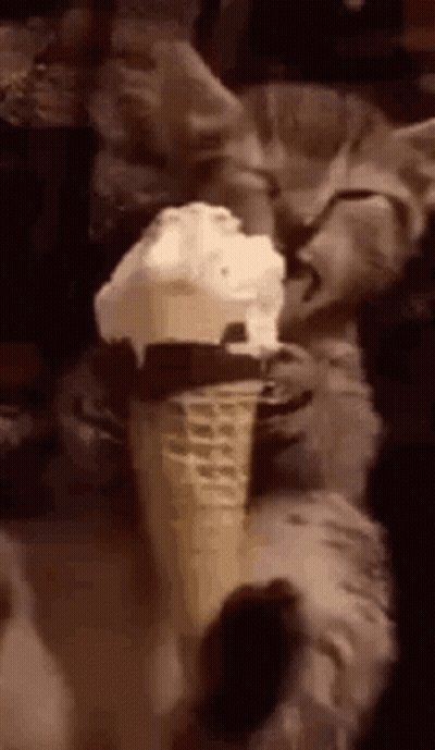 Cat Eating Ice Cream Cone GIF