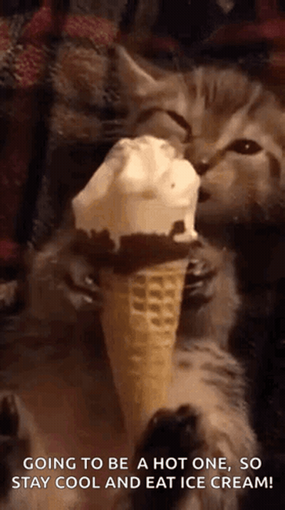 Cat Eating Ice Cream Saying Going To Be A Hot One So Stay Cool GIF