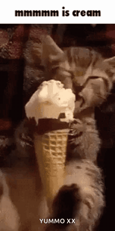 Cat Eating Ice Cream Saying Mmmmm Is Cream GIF