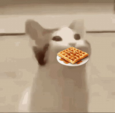 Cat Eating Waffle With Syrup GIF